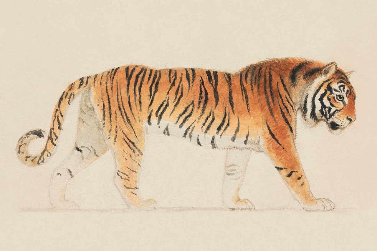 TRUE BRAVE Custom Subliminal Artwork | Reprogram Your Mind. Transform Your Life.