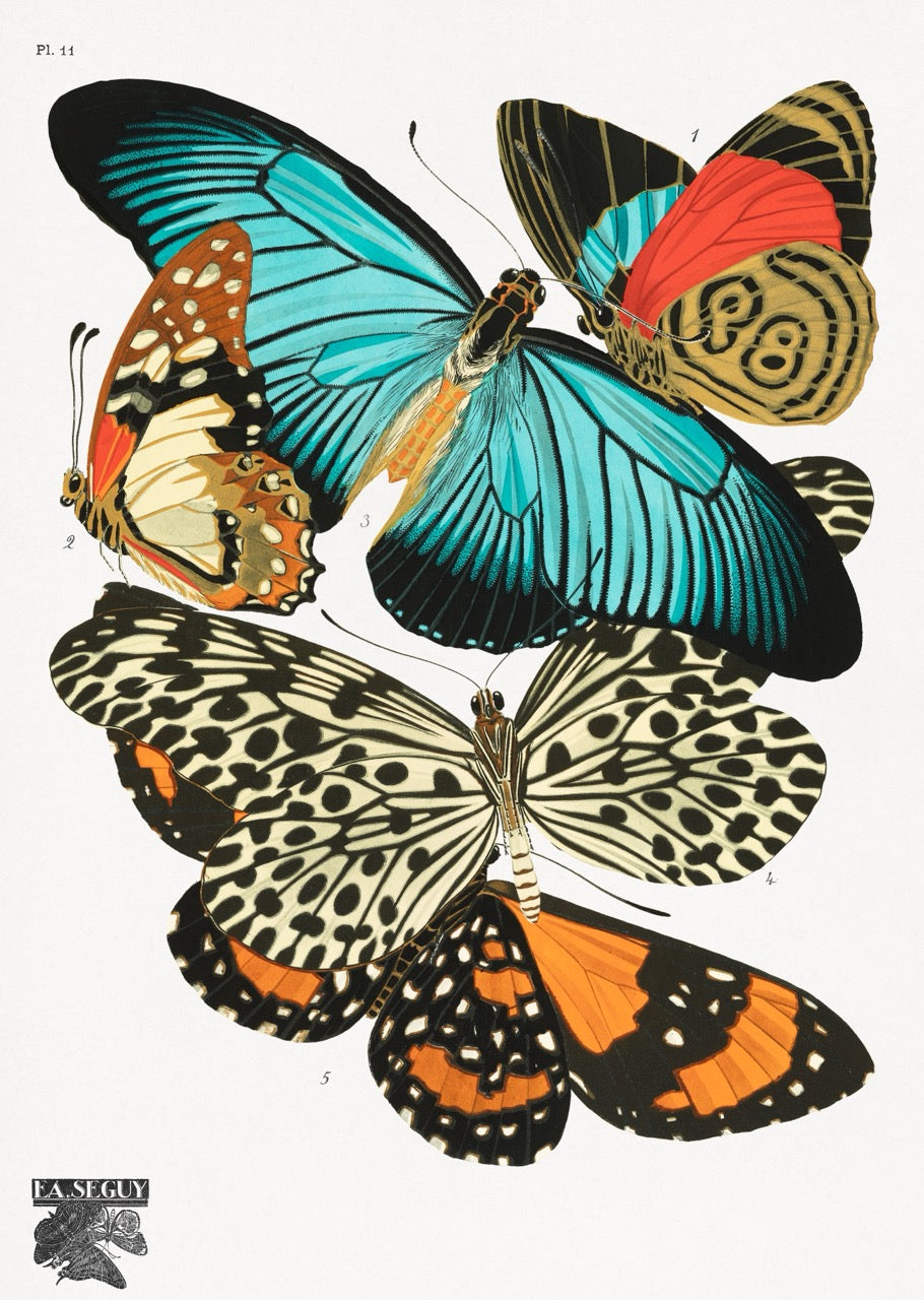 TRUE BRAVE Custom Subliminal Artwork | Reprogram Your Mind. Transform Your Life.